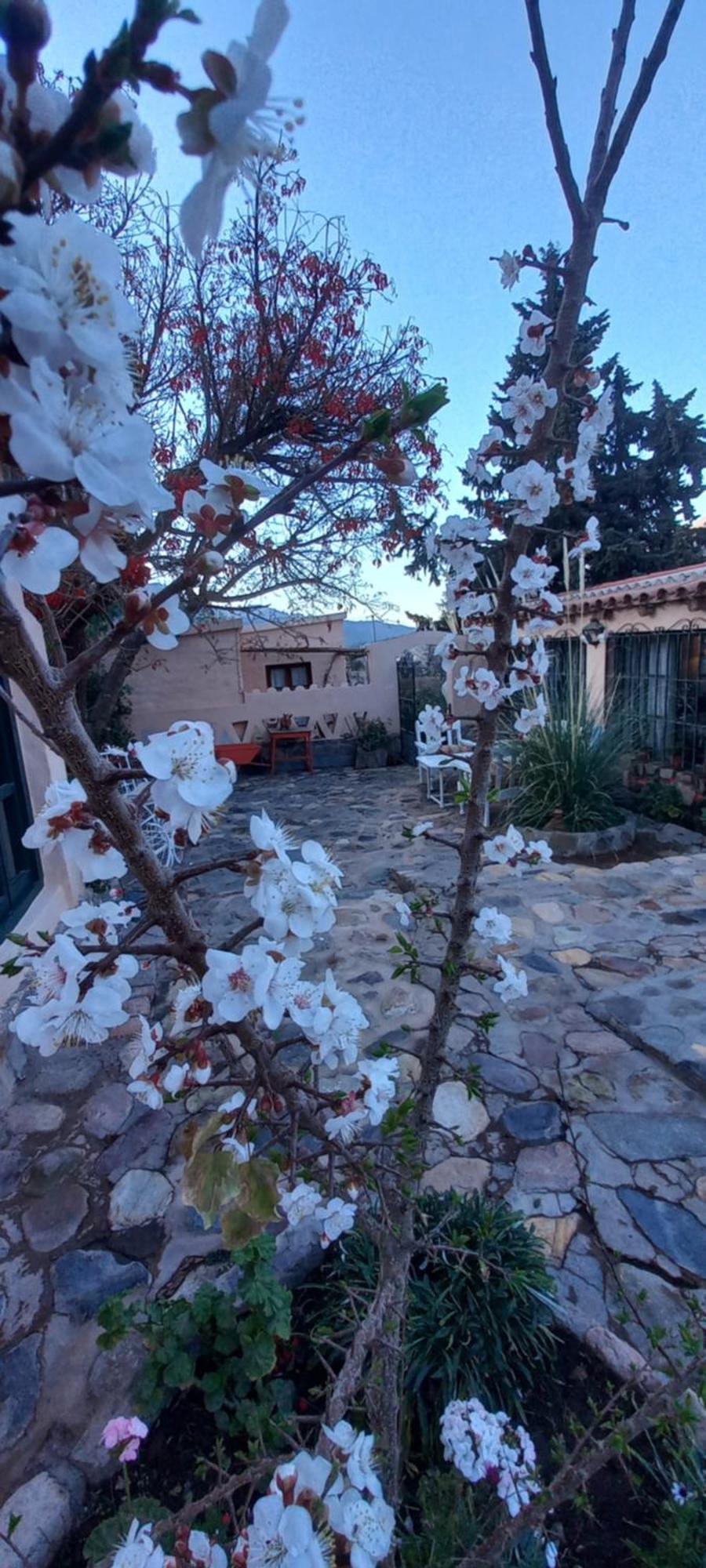 Los Arcabuceros Casa Hotel Boutique Tilcara Esterno foto